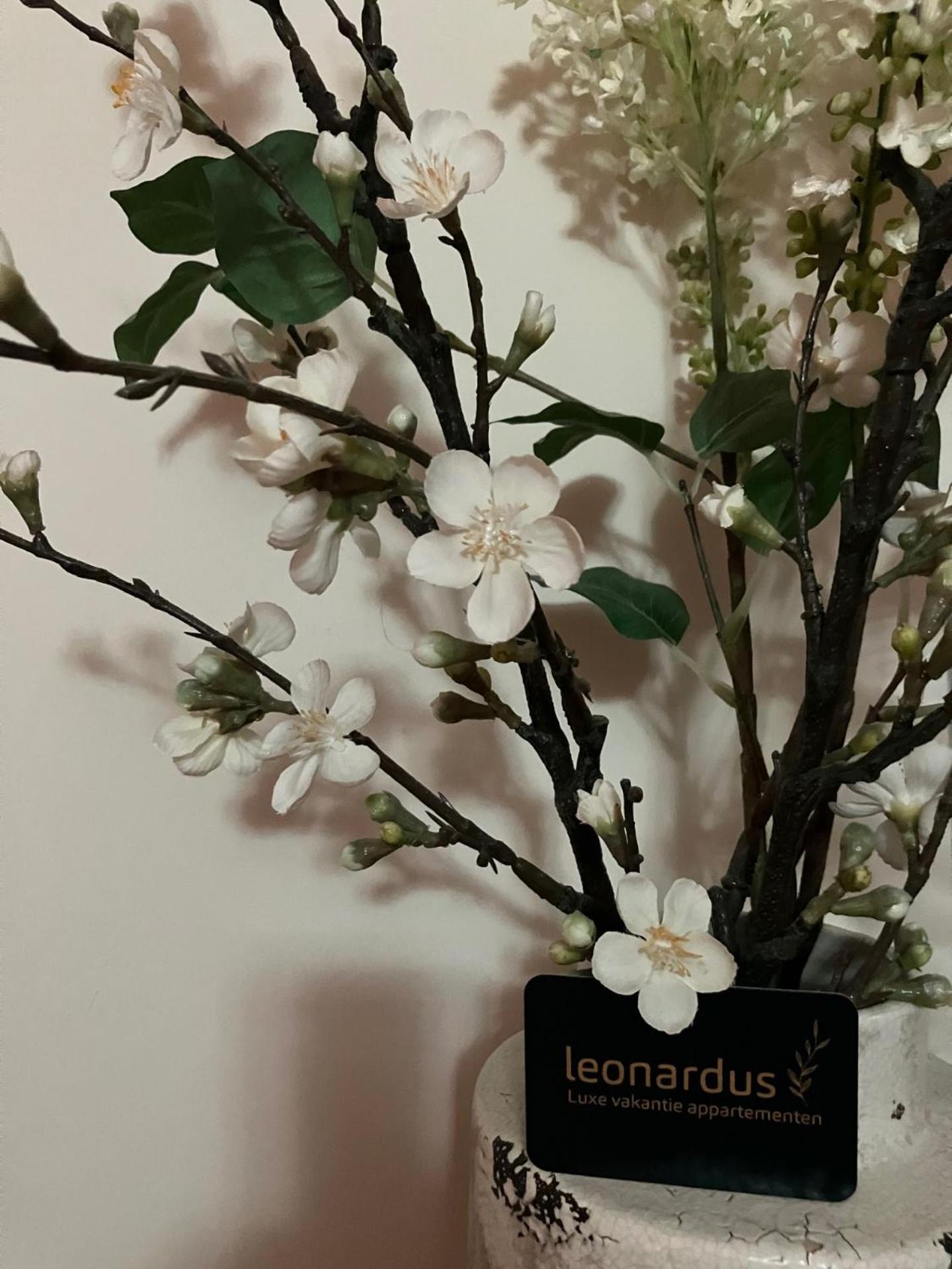 Luxe Appartementen Leonardus Valkenburg aan de Geul Exteriér fotografie